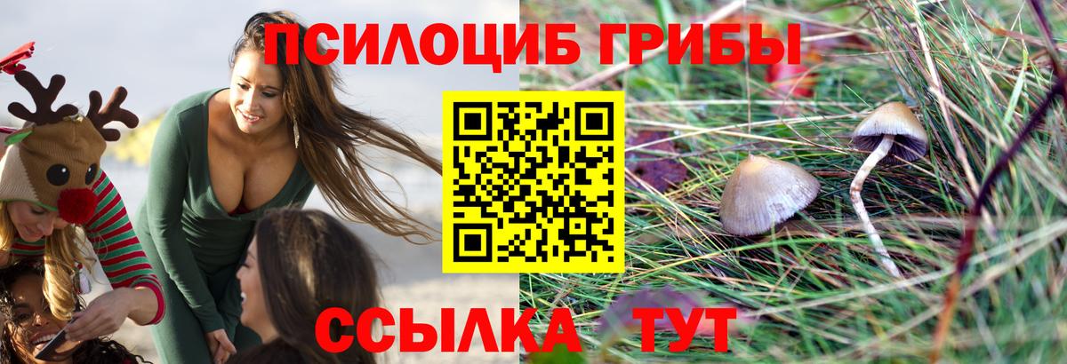 Галлюциногенные грибы мицелий Людиново