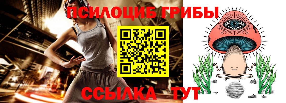 Людиново  Галлюциногенные грибы мухоморы  купить  сайты  Вход с VPN 